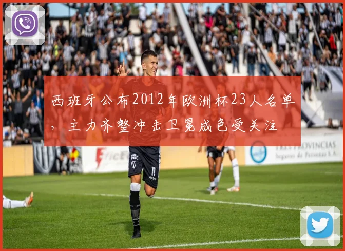 西班牙公布2012年欧洲杯23人名单，主力齐整冲击卫冕成色受关注