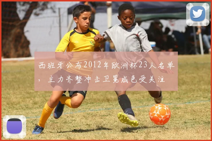 西班牙公布2012年欧洲杯23人名单，主力齐整冲击卫冕成色受关注