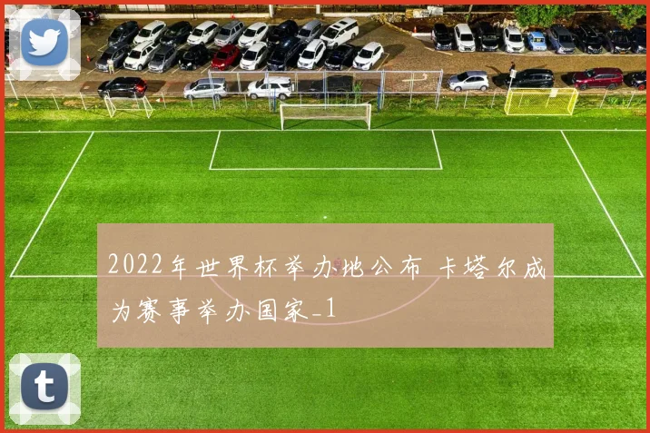 2022年世界杯举办地公布 卡塔尔成为赛事举办国家_1