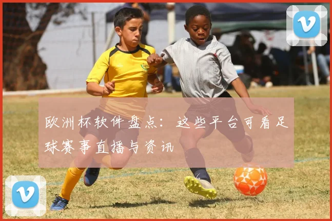 欧洲杯软件盘点:这些平台可看足球赛事直播与资讯
