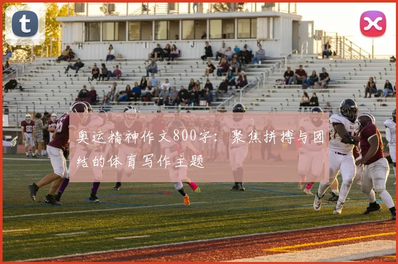 奥运精神作文800字:聚焦拼搏与团结的体育写作主题
