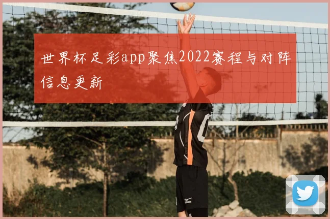 世界杯足彩app聚焦2022赛程与对阵信息更新