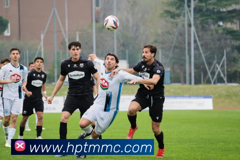 乐竞快速登录服务体系